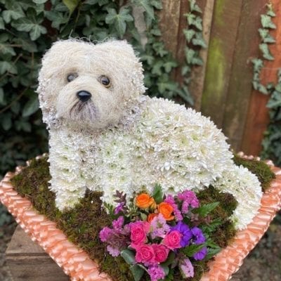 Small Doggy Tribute can be Modified