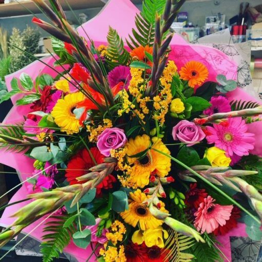 Gerbera Delight