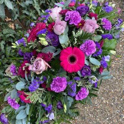 Purple and Cerise Spray