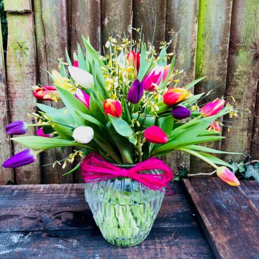 Tulip Crazy