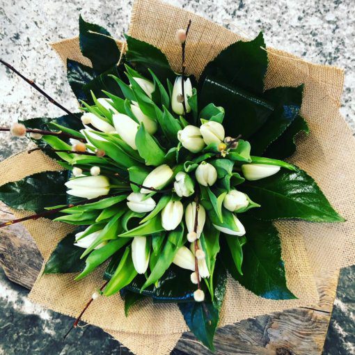 Tulip Hand Tied