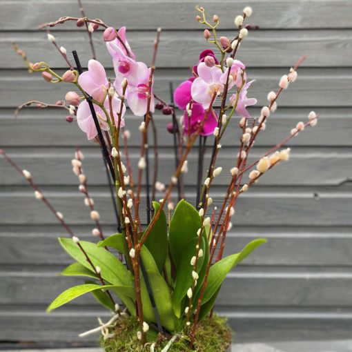 Orchid Glass Bowl