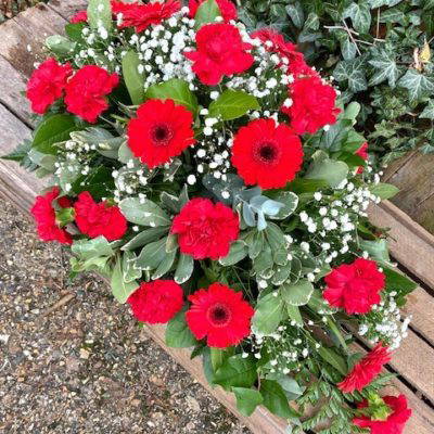 Red Carnation and Germini Spray